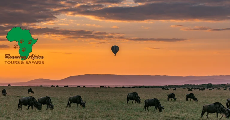 africa-safaris