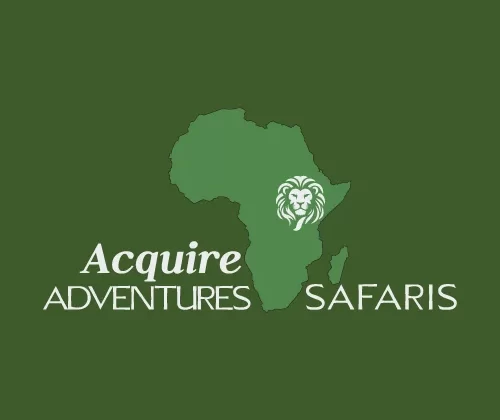 Acquire Adventures safaris